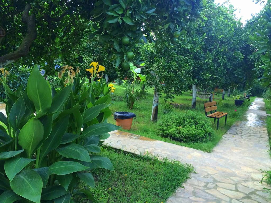 B&B Safir *