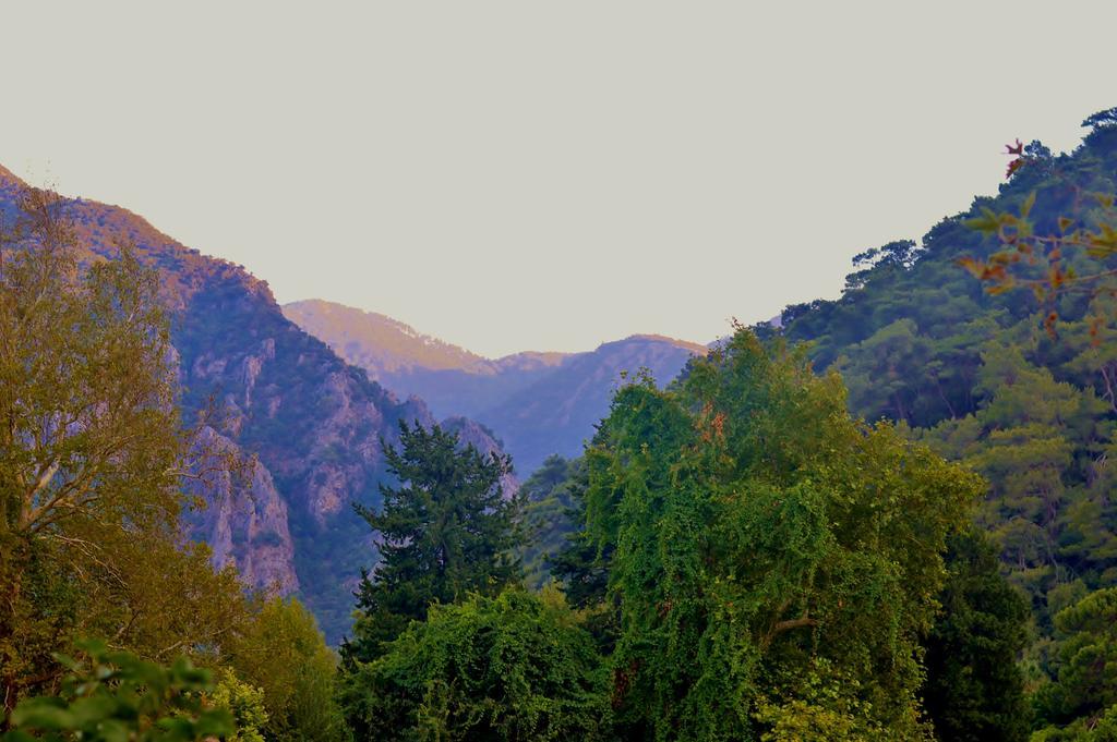 Safir Çıralı