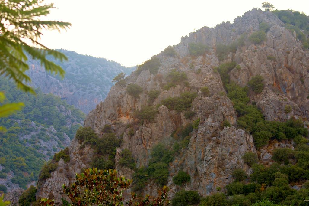 Safir Çıralı