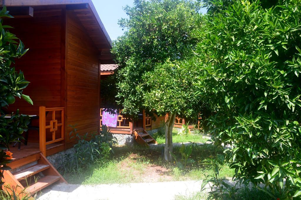 Safir Çıralı